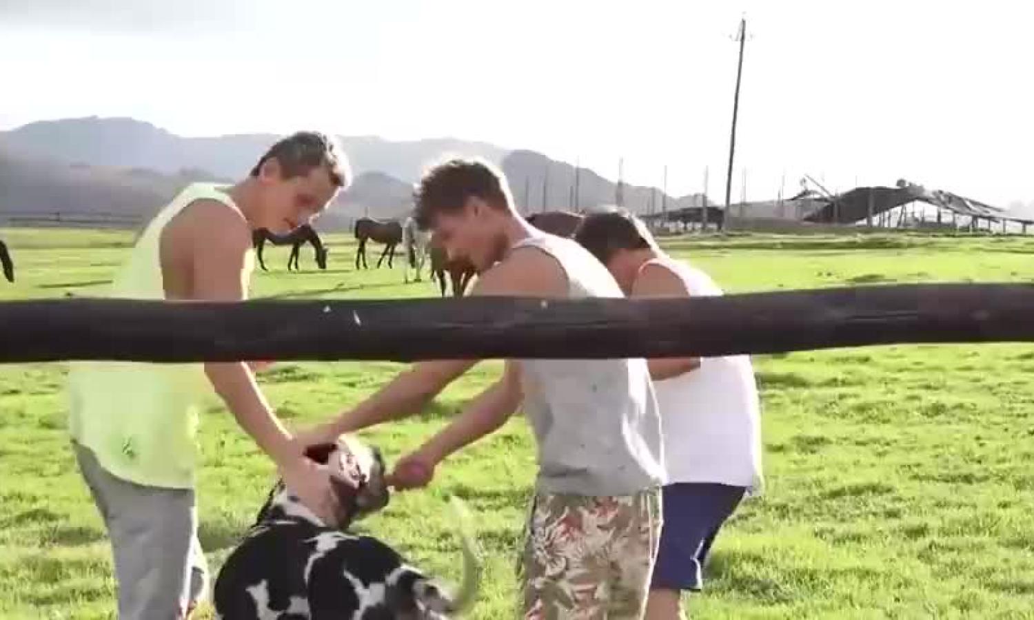 men Having pleasure In The Farm